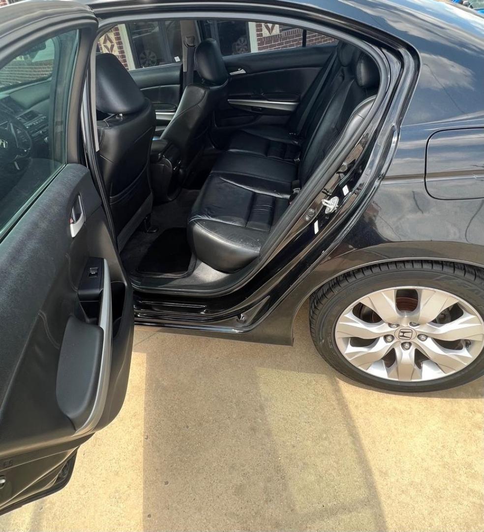2010 BLACK HONDA ACCORD EXL (1HGCP2F88AA) with an 2.4L engine, Automatic transmission, located at 4415 NE 28th St, Haltom City, TX, 76117, (817) 222-9334, 32.795322, -97.280937 - Photo#12