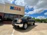 2010 BLACK GMC SIERRA 1500 SL (3GTRCUEA1AG) with an 4.8L engine, Automatic transmission, located at 4415 NE 28th St, Haltom City, TX, 76117, (817) 222-9334, 32.795322, -97.280937- Photo#0
