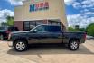 2010 BLACK GMC SIERRA 1500 SL (3GTRCUEA1AG) with an 4.8L engine, Automatic transmission, located at 4415 NE 28th St, Haltom City, TX, 76117, (817) 222-9334, 32.795322, -97.280937- Photo#2